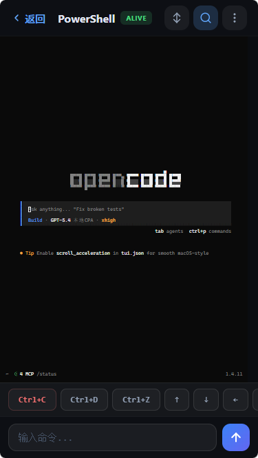 TermCanvas mobile — terminal